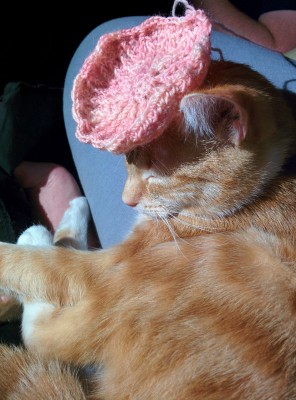 cat with crochet hat_20140611_224757